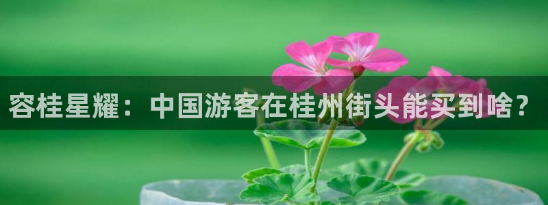 okooo澳客