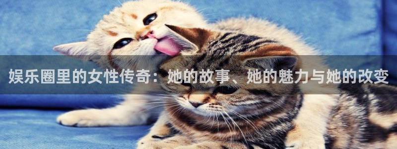 okooo澳客手机版官网