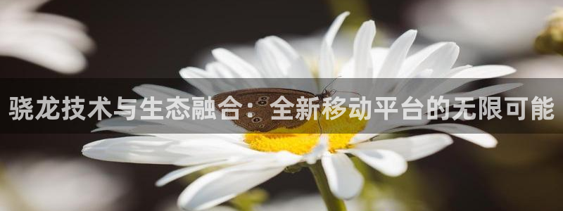 澳客彩