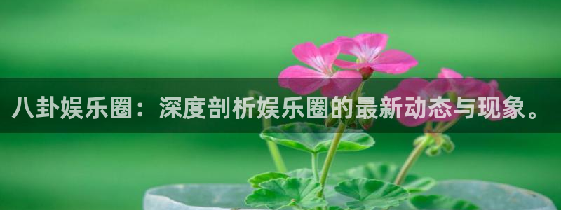 澳客比分胜负