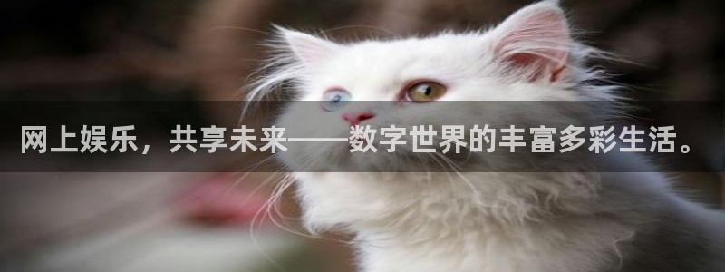 澳客网即时比分