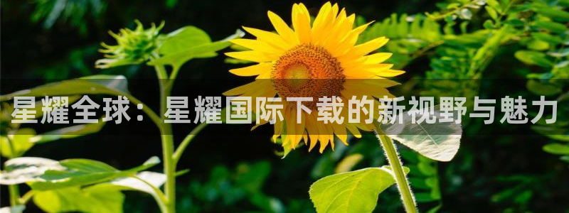 澳客官网首页中国竞彩