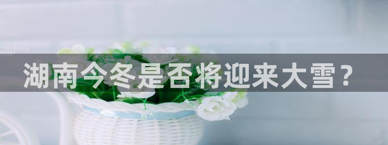 苹果版澳客下载