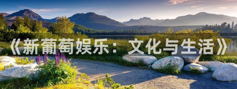 澳客网okooo