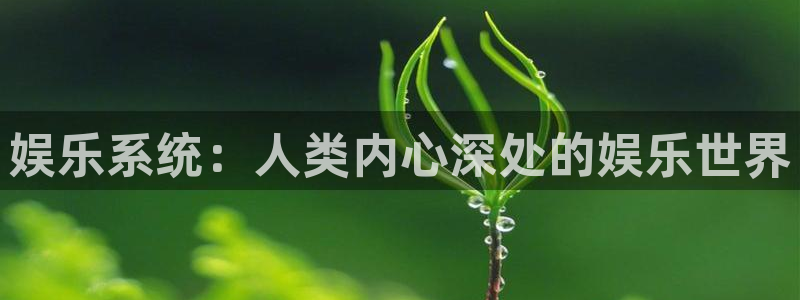 老版本澳客