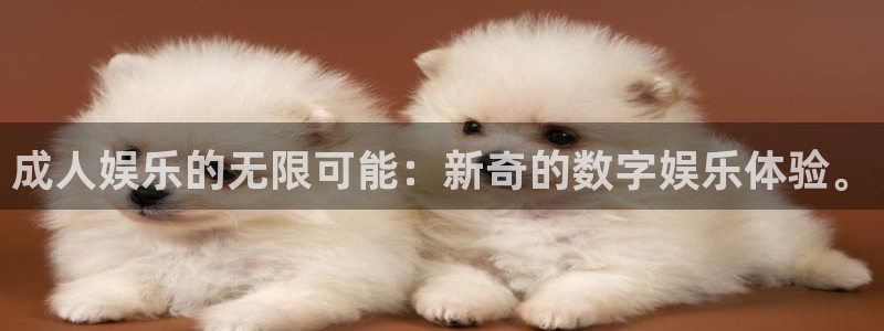 澳客老版