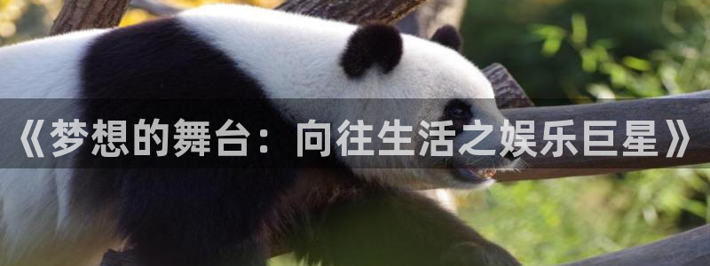 澳客触屏版