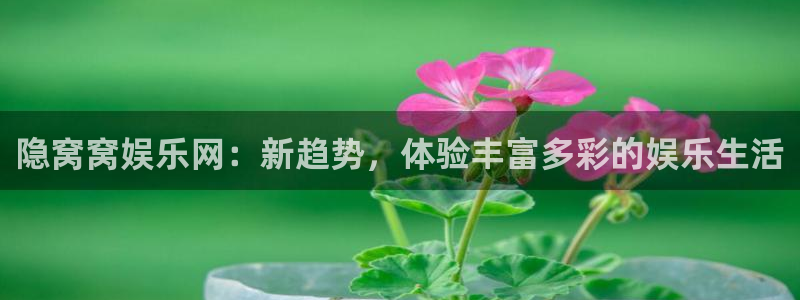 澳客官网网页版本