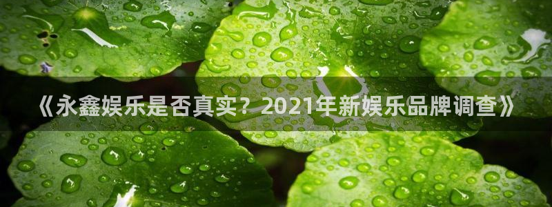 okoo澳客：《永鑫娱乐是否真实？2021年新娱乐品牌调查》