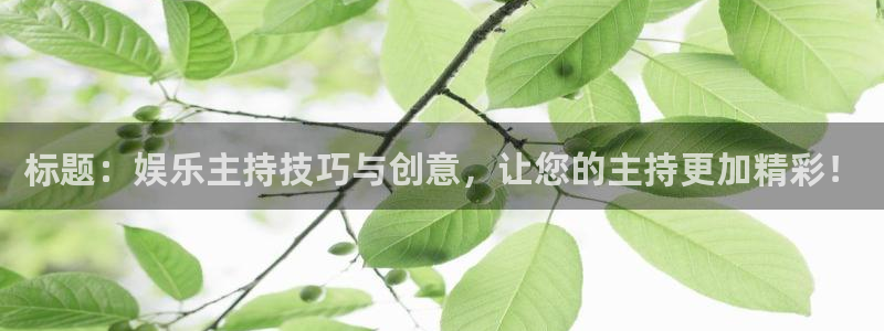 澳客足球比分手机版：标题：娱乐主持技巧与创意，让您的主持更加精彩！