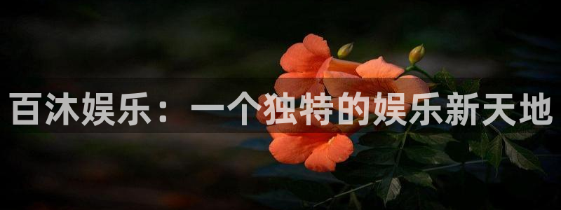 澳客网足球即时比分