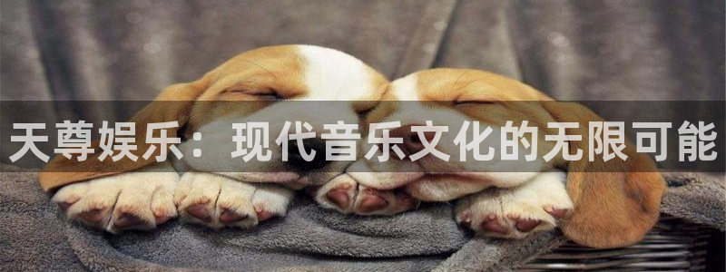 澳客手机版app下载安装官网