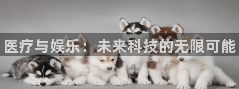 澳客方案是什么app