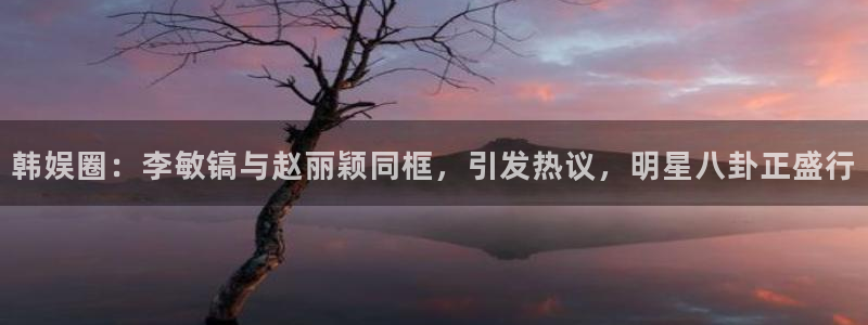 澳客竞彩足球官网：韩娱圈：李敏镐与赵丽颖同框，引发热议，明星八卦正盛行