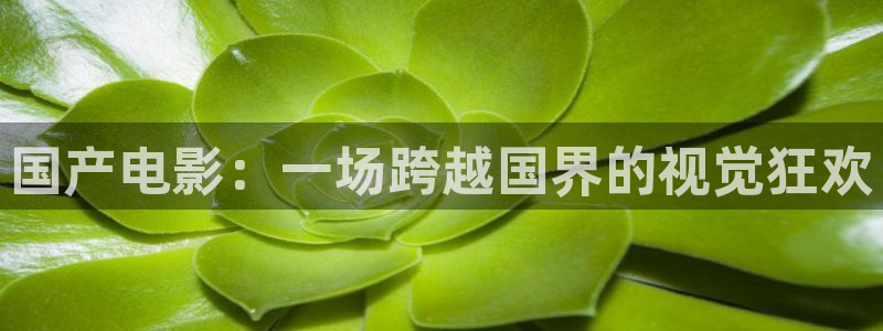 okooo澳客彩网最新版本更新内容：国产电影：一场跨越国界的视觉狂欢